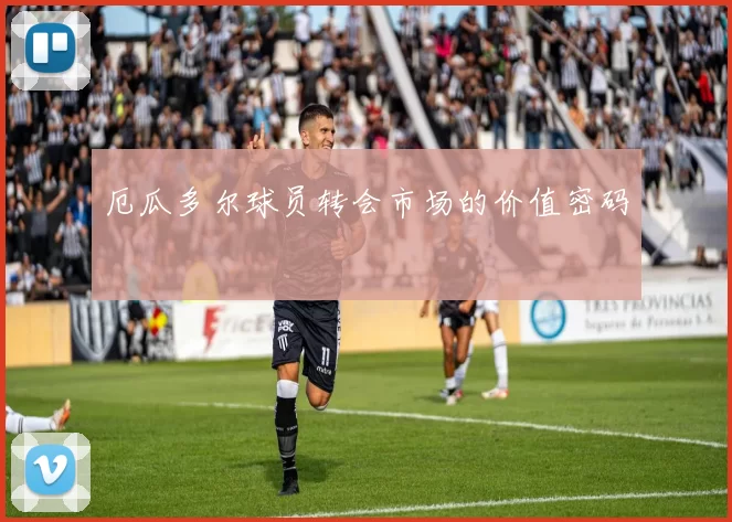 厄瓜多尔球员转会市场的价值密码