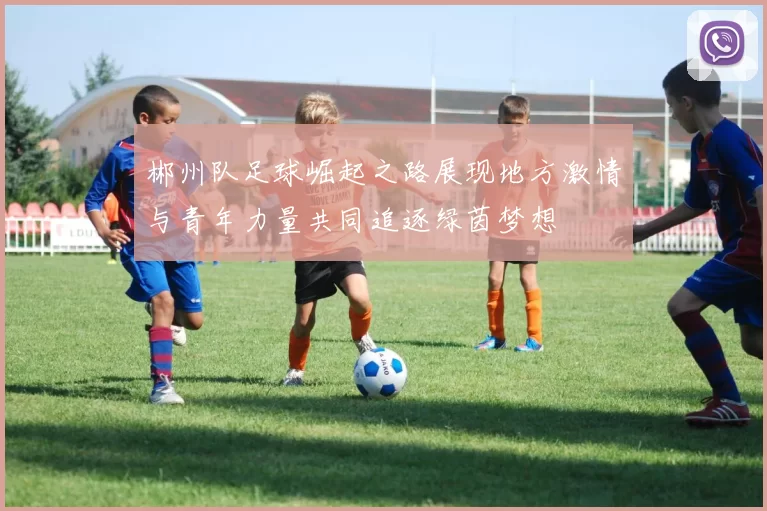 郴州队足球崛起之路展现地方激情与青年力量共同追逐绿茵梦想