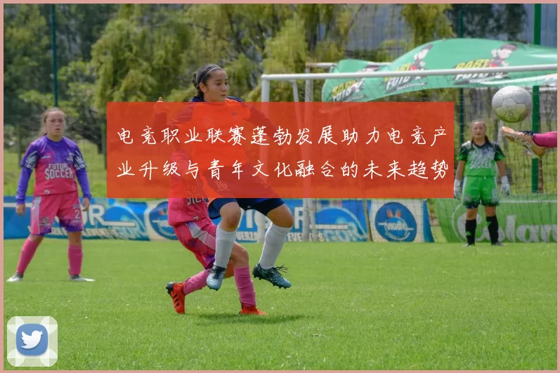 电竞职业联赛蓬勃发展助力电竞产业升级与青年文化融合的未来趋势