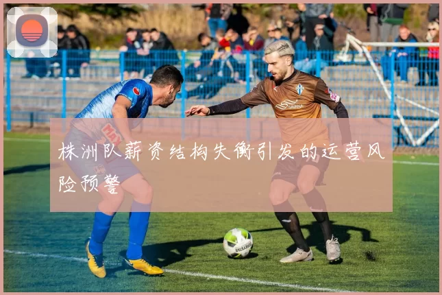 株洲队薪资结构失衡引发的运营风险预警