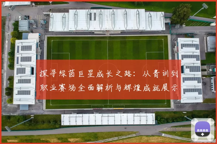 探寻绿茵巨星成长之路：从青训到职业赛场全面解析与辉煌成就展示